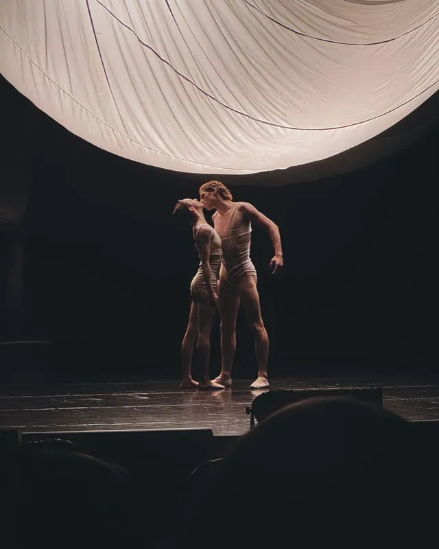 Pareja de bailarines bajo una luz cálida en un escenario.